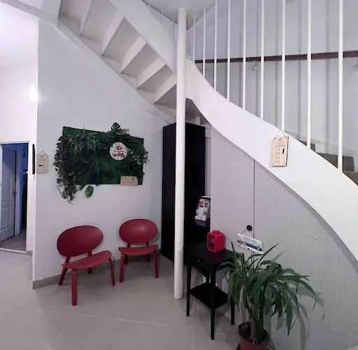 12# Sunflower Cozy Budapest